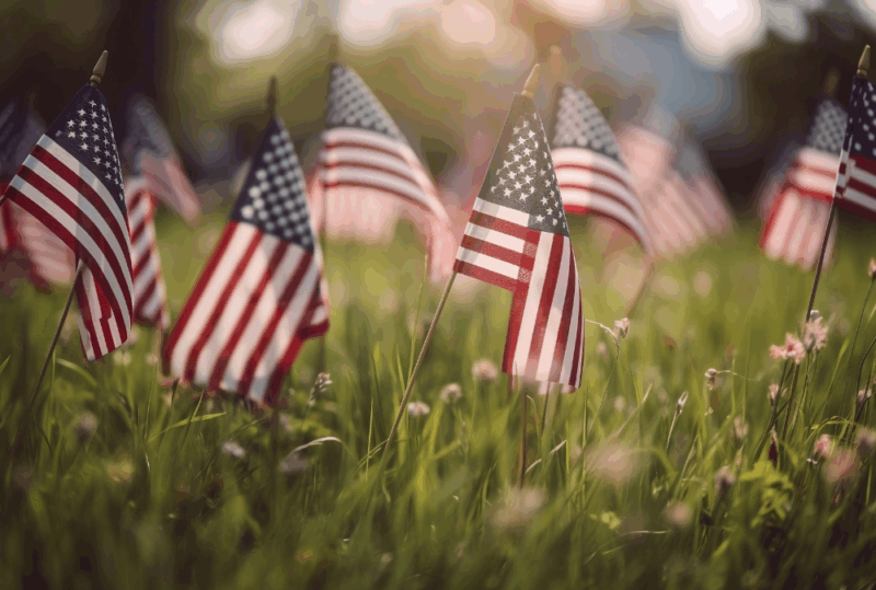 Image is of several small American flags in the grass, concept of Memorial Day weekend in Nashville