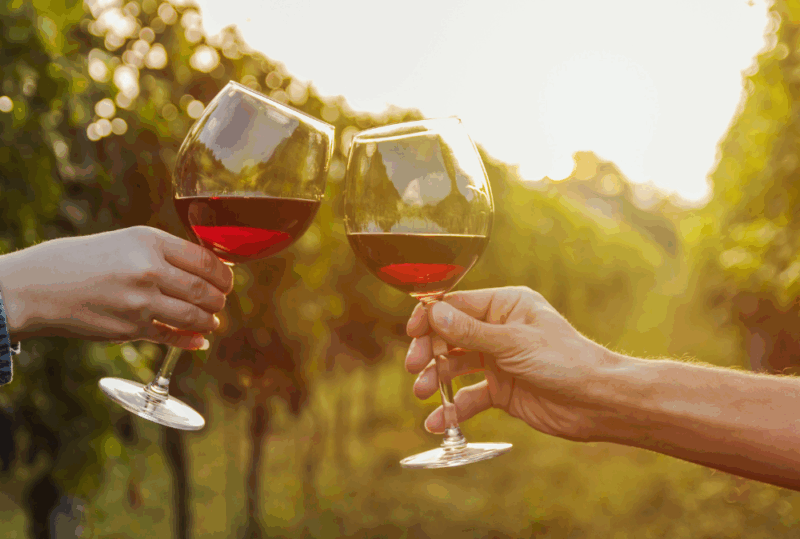 Image is of two people toasting with glasses of red wine while in a vineyard, concept of the best wineries in Nashville, Tennessee